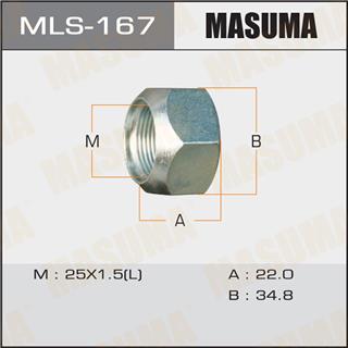 Thermostat Masuma