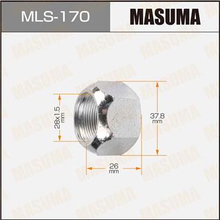 Thermostat Masuma