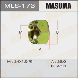 Thermostat Masuma