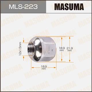 Thermostat Masuma