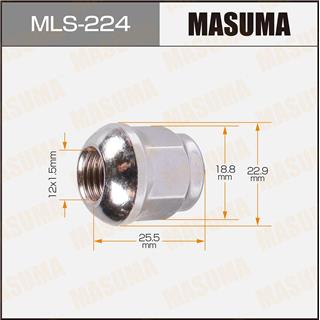 Thermostat Masuma