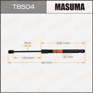 Thermostat Masuma