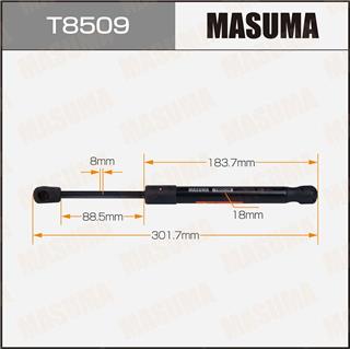 Thermostat Masuma