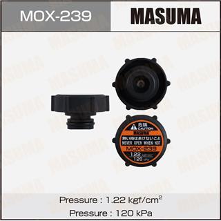 Thermostat Masuma