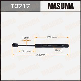 Thermostat Masuma